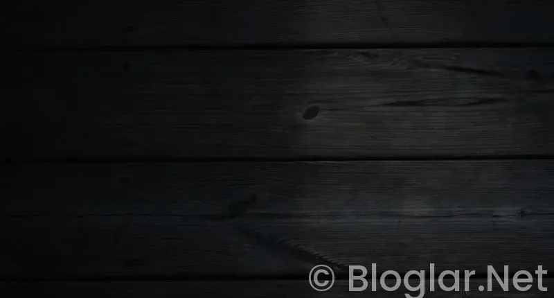 HAVALİMANI İS BASVURU FORMU