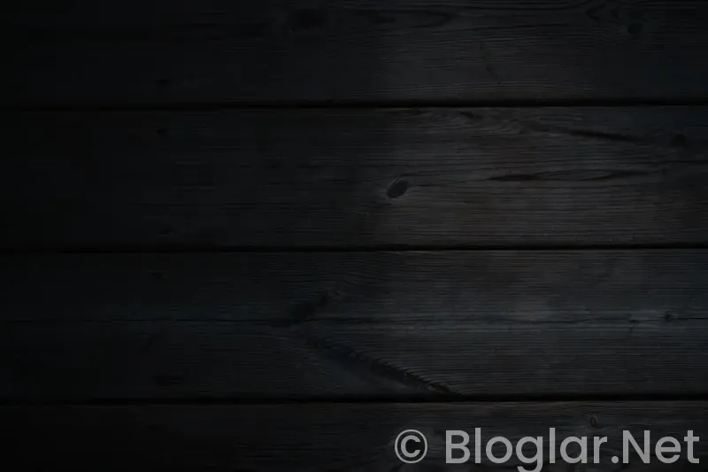 HAVALİMANI İS BASVURU FORMU