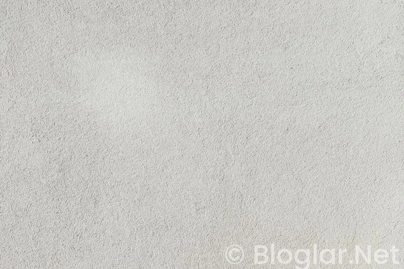 HAVALİMANI İS BASVURU FORMU