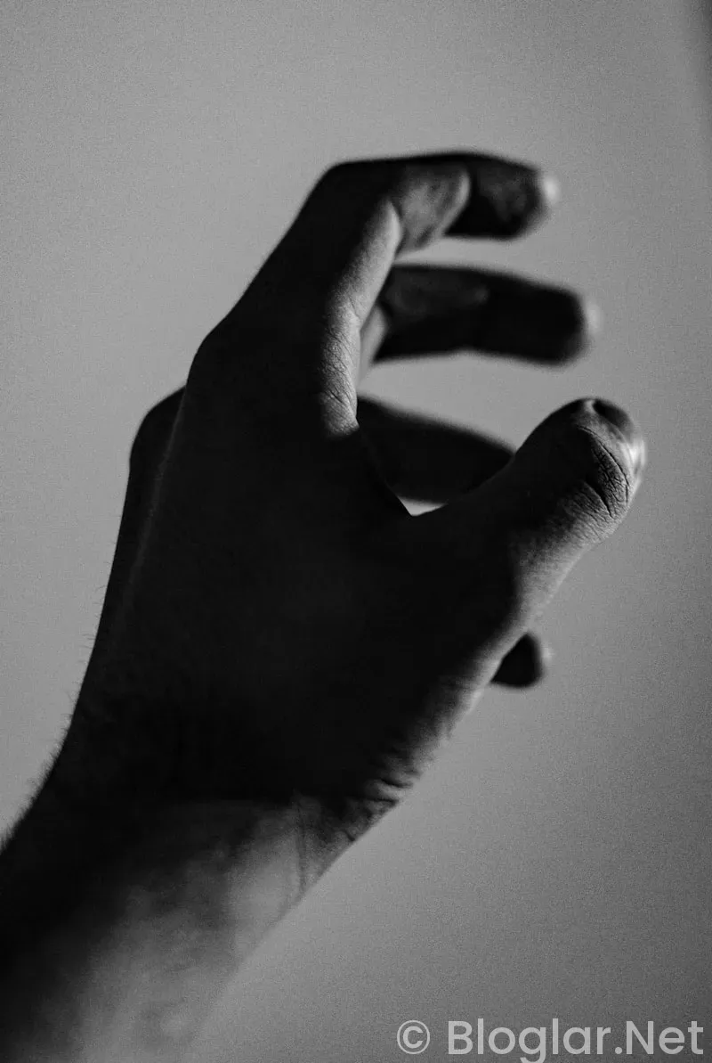 HAVALİMANI İS BASVURU FORMU