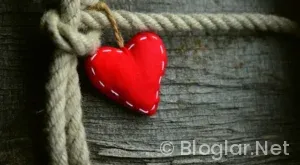 Hollanda – Litvanya  maçı hangi kanalda?