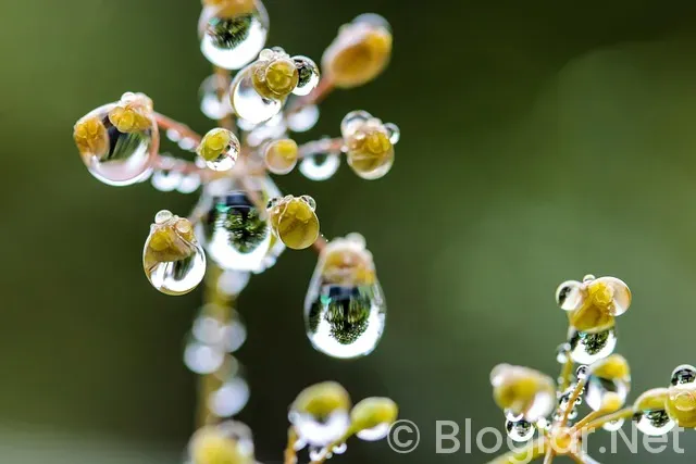 HOW TO ADD ADVERTİSEMENT İN WEBSİTE