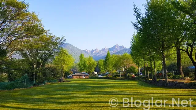 HOW TO USE GOOGLE ADSENSE TO MAKE MONEY HOW TO USE GOOGLE ADSENSE TO MAKE MONEY