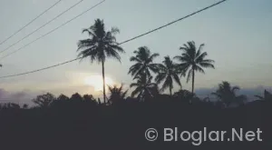 İNSAN KAYNAKLARI YENİ MEZUN İŞ İLANLARI