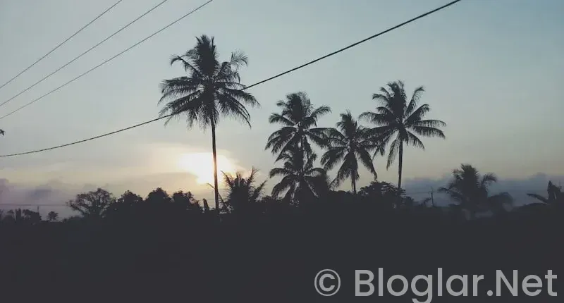 İNSAN KAYNAKLARI YENİ MEZUN İŞ İLANLARI