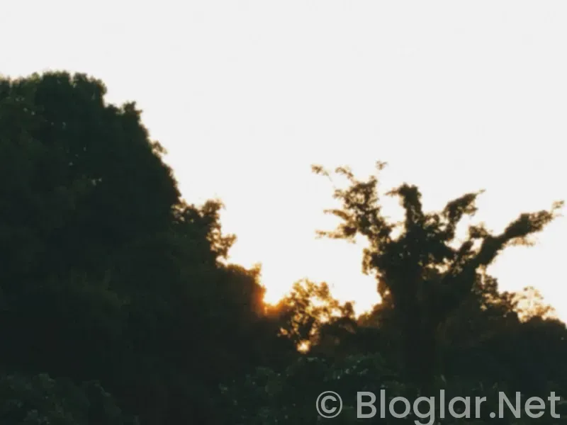 İNSAN KAYNAKLARI YENİ MEZUN İŞ İLANLARI İNSAN KAYNAKLARI YENİ MEZUN İŞ İLANLARI