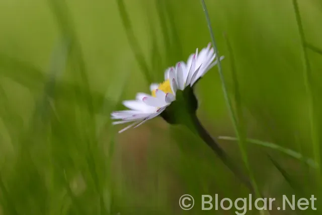 İNSTAGRAM KAÇ TAKİPÇİYE PARA VERİYOR