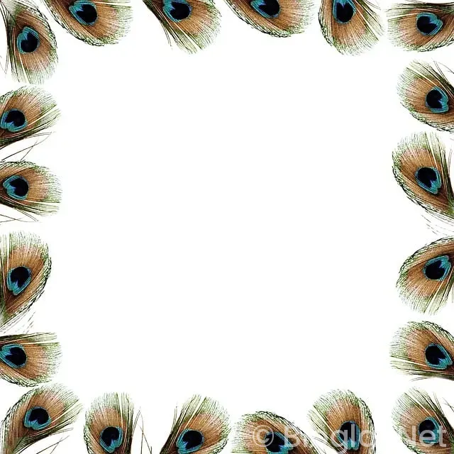 İNSTAGRAM PARA KAZANMA ŞARTLARI