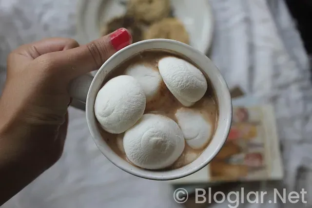 İNSTAGRAM PARA VERİYOR MU