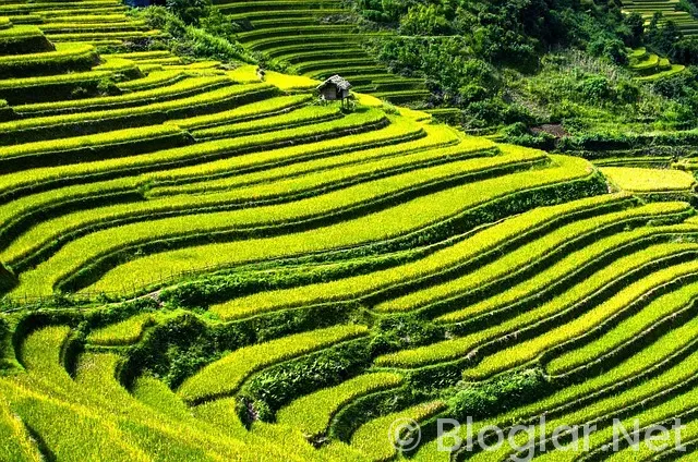 İNSTAGRAM PARA VERİYOR MU