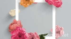 İNSTAGRAM TAKİPÇİ PARA KAZANMA