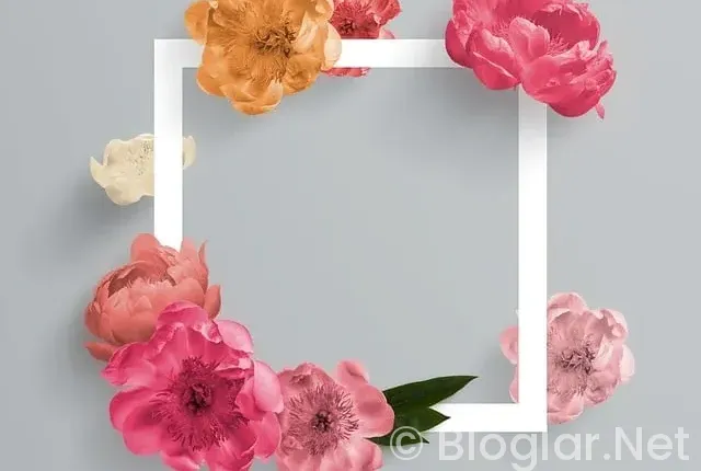 İNSTAGRAM TAKİPÇİ PARA KAZANMA