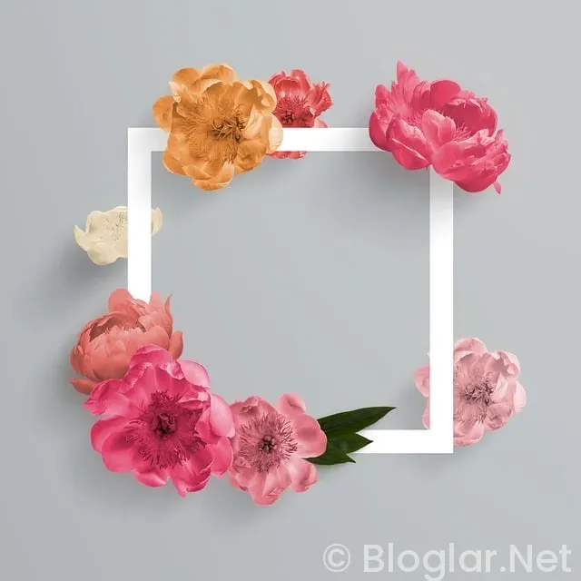 İNSTAGRAM TAKİPÇİ PARA KAZANMA