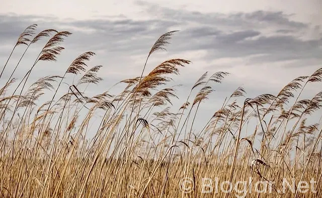İNSTAGRAMDAN NASIL PARA KAZANILIR