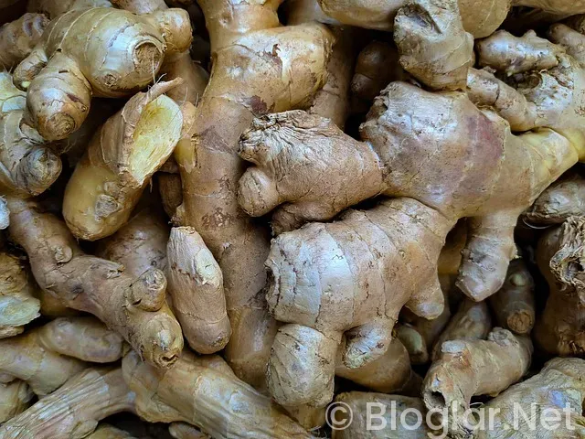 İskoçya Nerede? İskoçya Nerede?