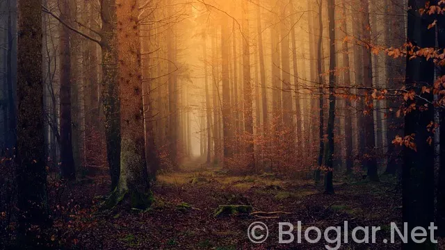 İskoçya Nerede? İskoçya Nerede?