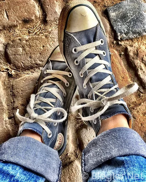 işkur Başvuru Sonuçları Sorgulama işkur Başvuru Sonuçları Sorgulama