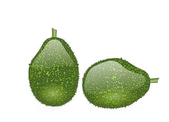 ıslam makhachev jack della maddalena