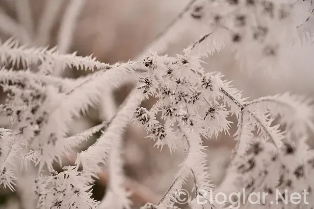 israil - moldova Maçı Özeti israil - moldova Maçı Özeti