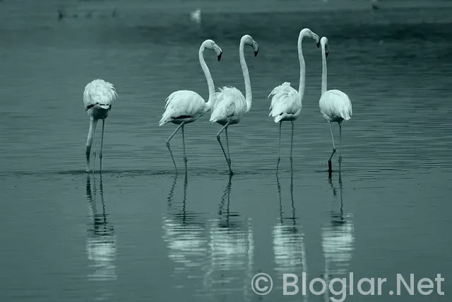 İzmir Hava Durumu İzmir Hava Durumu