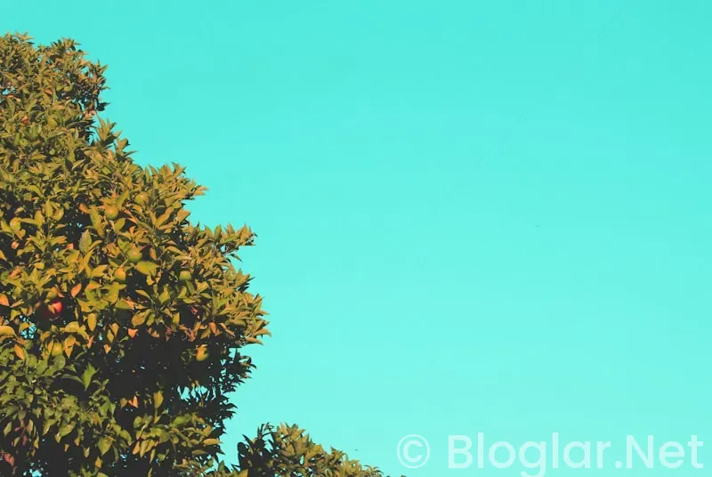 KABİN HİZMETLERİ MAAŞ