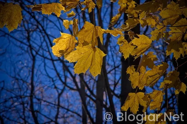 Kanal D Uzak Şehir 40 bölüm fragmanı Kanal D Uzak Şehir 40 bölüm fragmanı