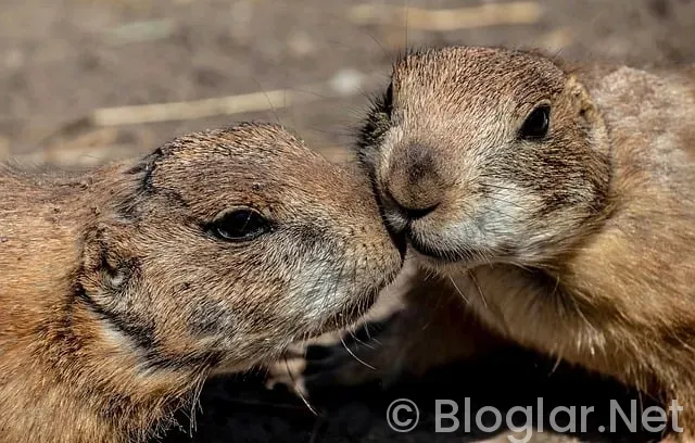 Kıbrıs iş ilanları Kıbrıs iş ilanları