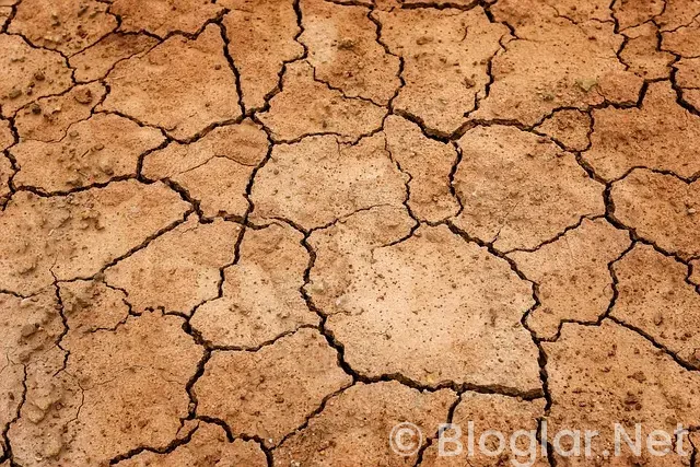 Kıbrıs iş ilanları Kıbrıs iş ilanları