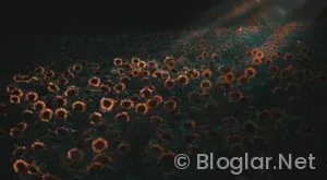 Kırklareli Hava Durumu