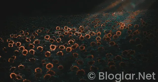 Kırklareli Hava Durumu Kırklareli Hava Durumu