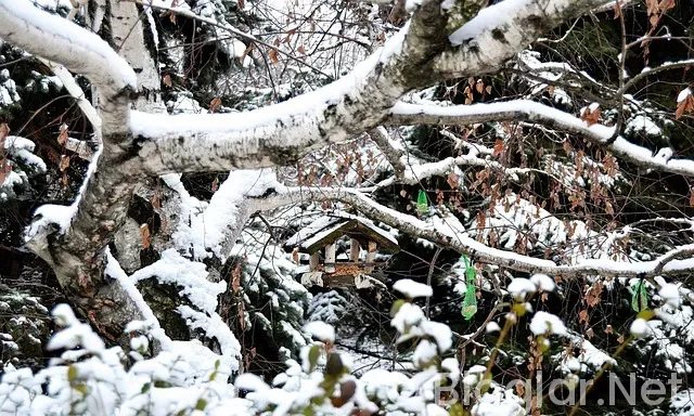Kırklareli Hava Durumu Kırklareli Hava Durumu