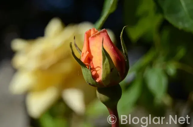 Kırklareli Hava Durumu Kırklareli Hava Durumu