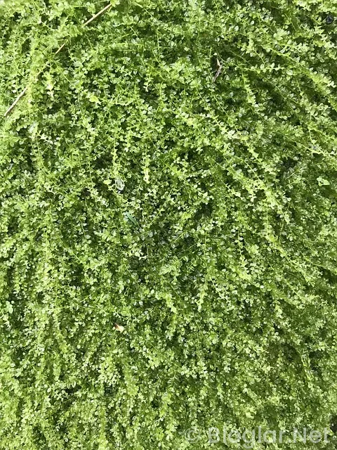 kırklareli ile alakalı bilgiler