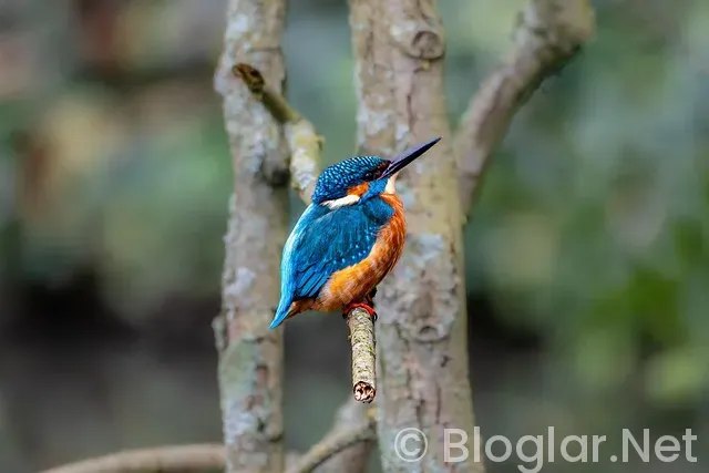 Kısa Yoldan Parayı Bulmak 2025