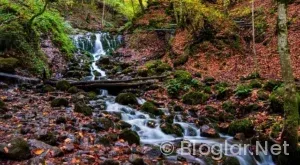 Kızılcık Şerbeti 115 bölüm fragman