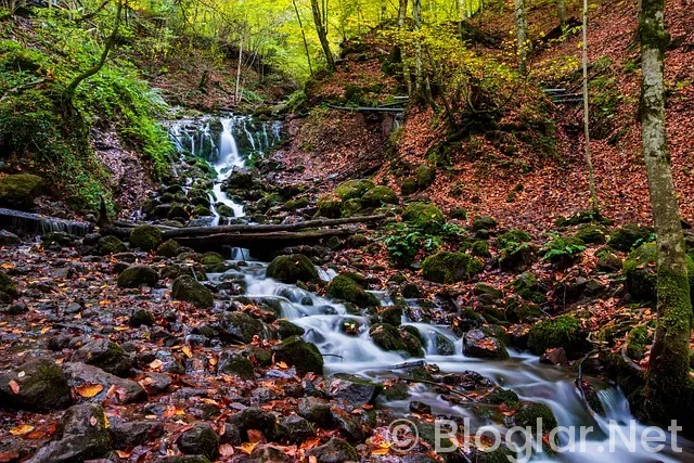 Kızılcık Şerbeti 115 bölüm fragman Kızılcık Şerbeti 115 bölüm fragman