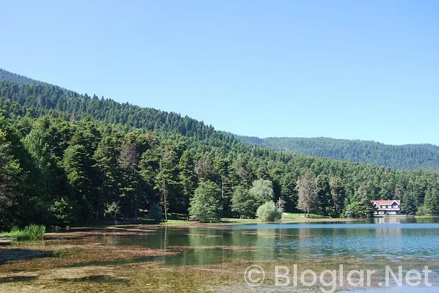 Kızılcık Şerbeti 115 bölüm fragman Kızılcık Şerbeti 115 bölüm fragman