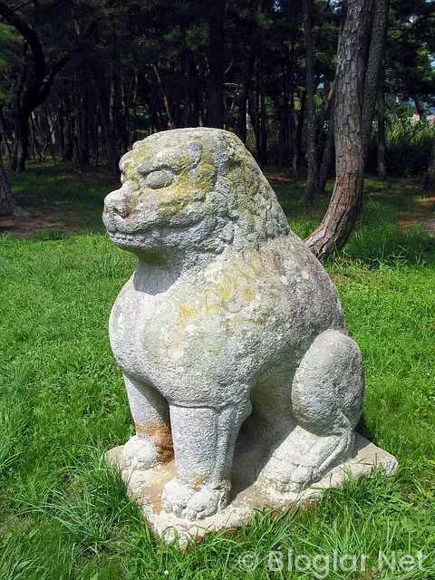 Kızılcık Şerbeti Sıla Türkoğlu