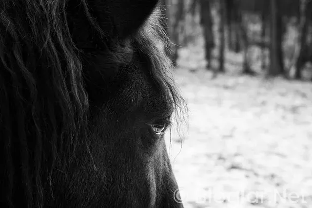 Lihtenştayn nerededir?