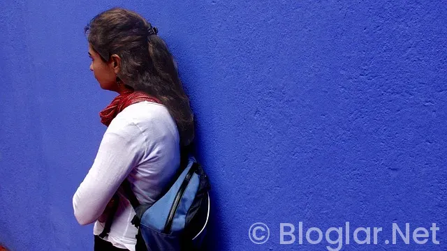 LİNK KISALT PARA KAZAN