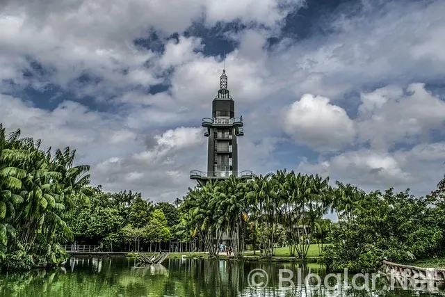 LİNKLERDEN PARA KAZANMAK