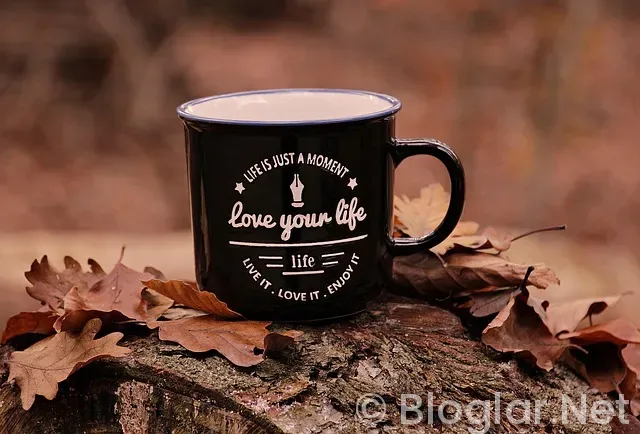 Lokum Paketleme is ilanları