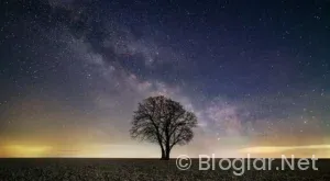 Masterchef eleme adayı