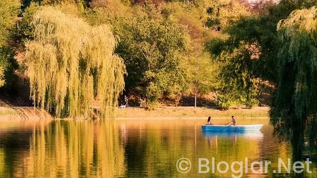 mavericks - trail blazers