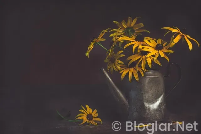 mavericks - trail blazers