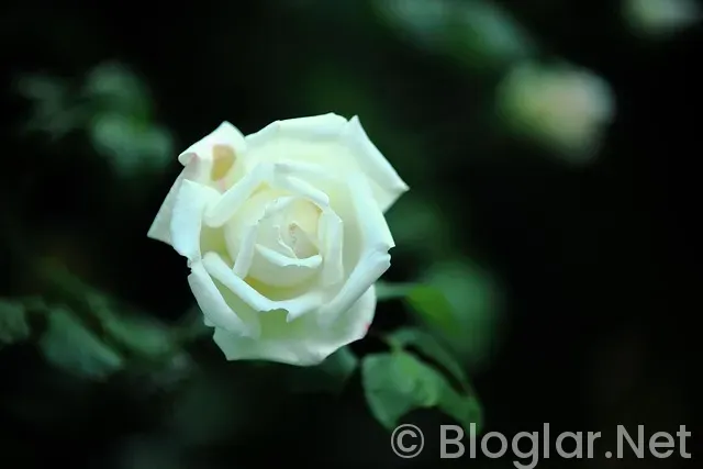 Mazota zam ne zaman gelecek?