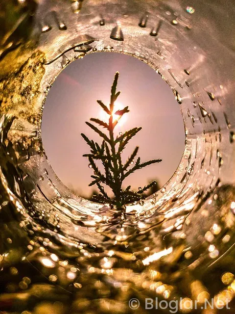 Mehmet Sevigen Kimdir?