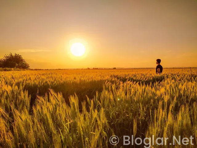 Mehmet Sevigen Kimdir?