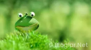 Milli Teknoloji Akademisi nedir?