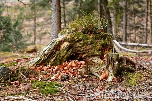 Motorine indirim Geldi mi?